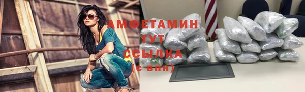 дживик Карпинск