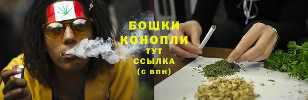 сатива Киренск