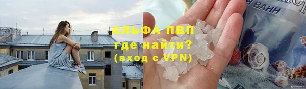 сатива Киренск