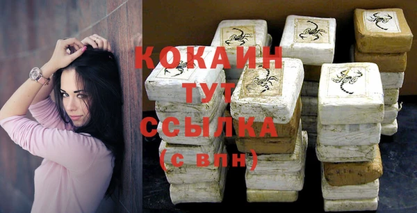 дживик Карпинск